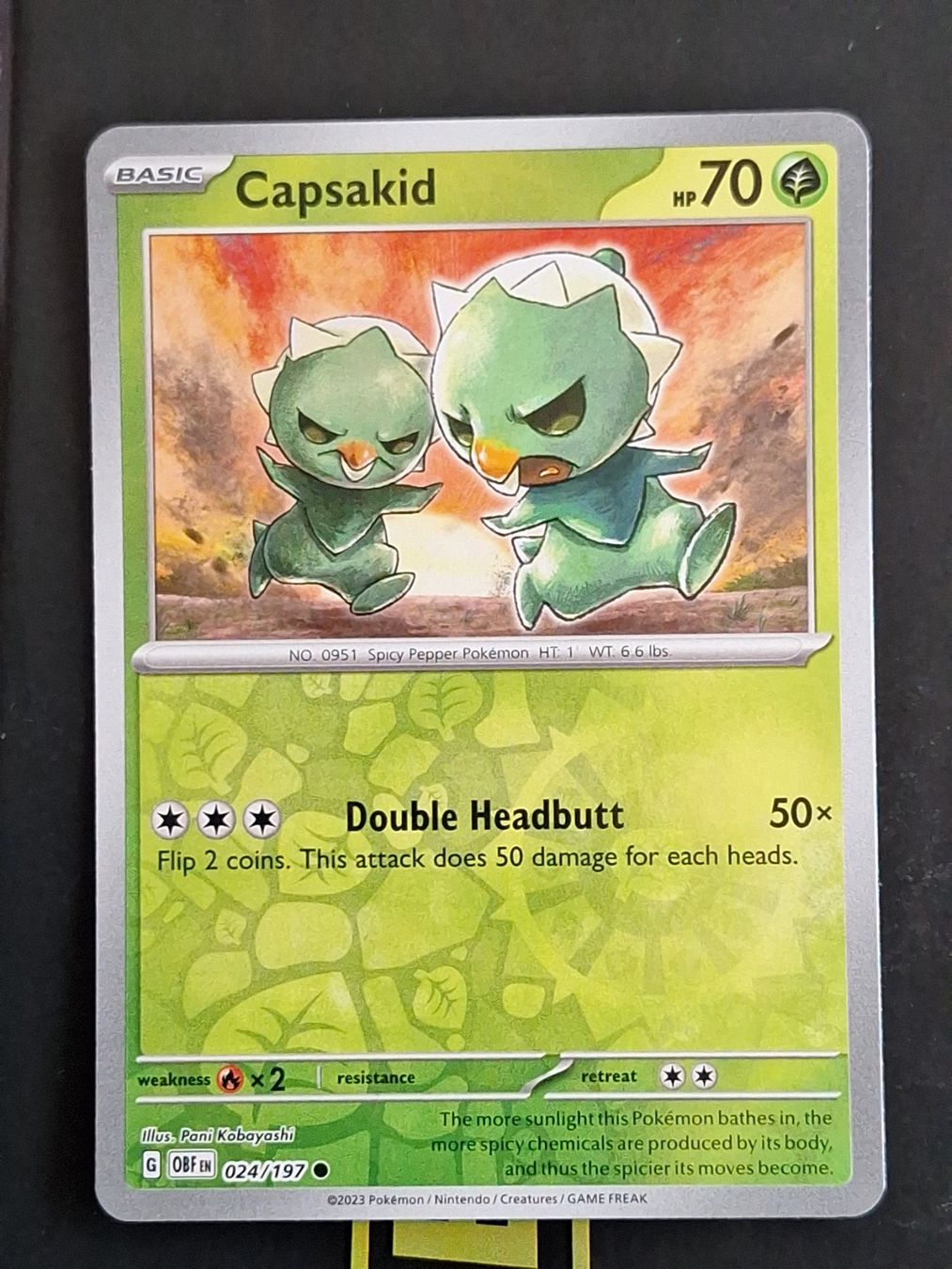 Pokémon Carte collezionabili: Capsakid - Pokemon Reverse Holo Obsidian Flames – Usato da Altstätten SG venduto da GGsGameshop