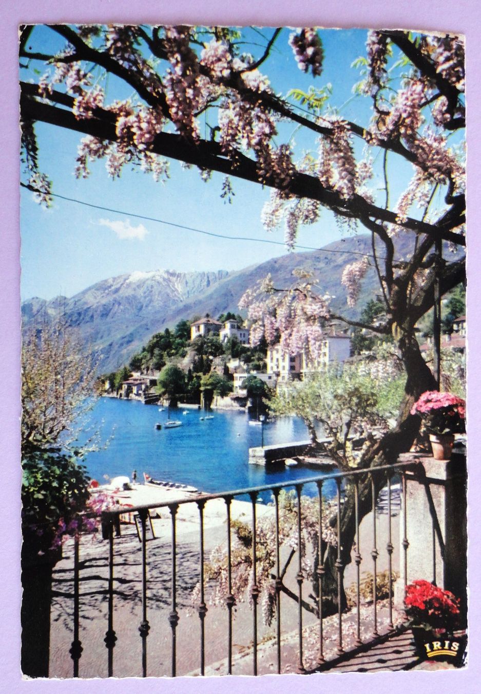 Cartes postales: Ascona - Collina S. Michele – D'occasion à Fétigny par Billy2miny