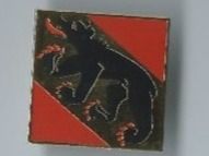 Bern Kantonswappen PIN