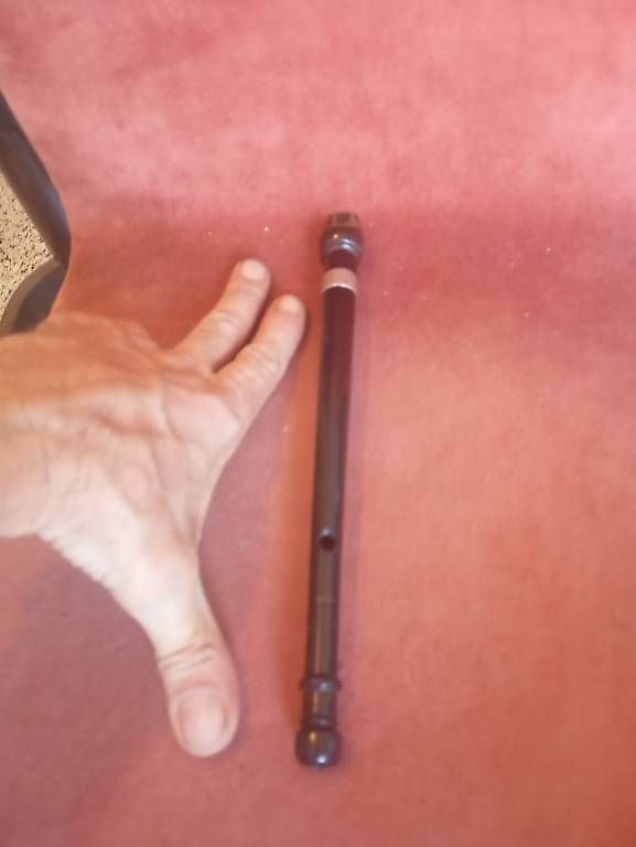 Strumenti musicali: Whistle, Flöte – Usato da Basel venduto da Petergunn