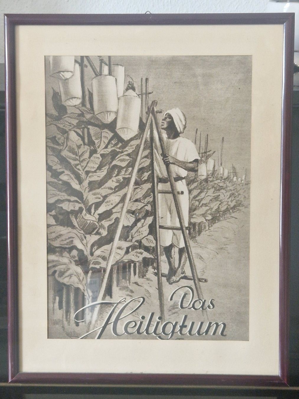 Poster & Bilder: Druckgrafik "Tabak auf Java" – Gebraucht aus Winterthur von Hest1 4