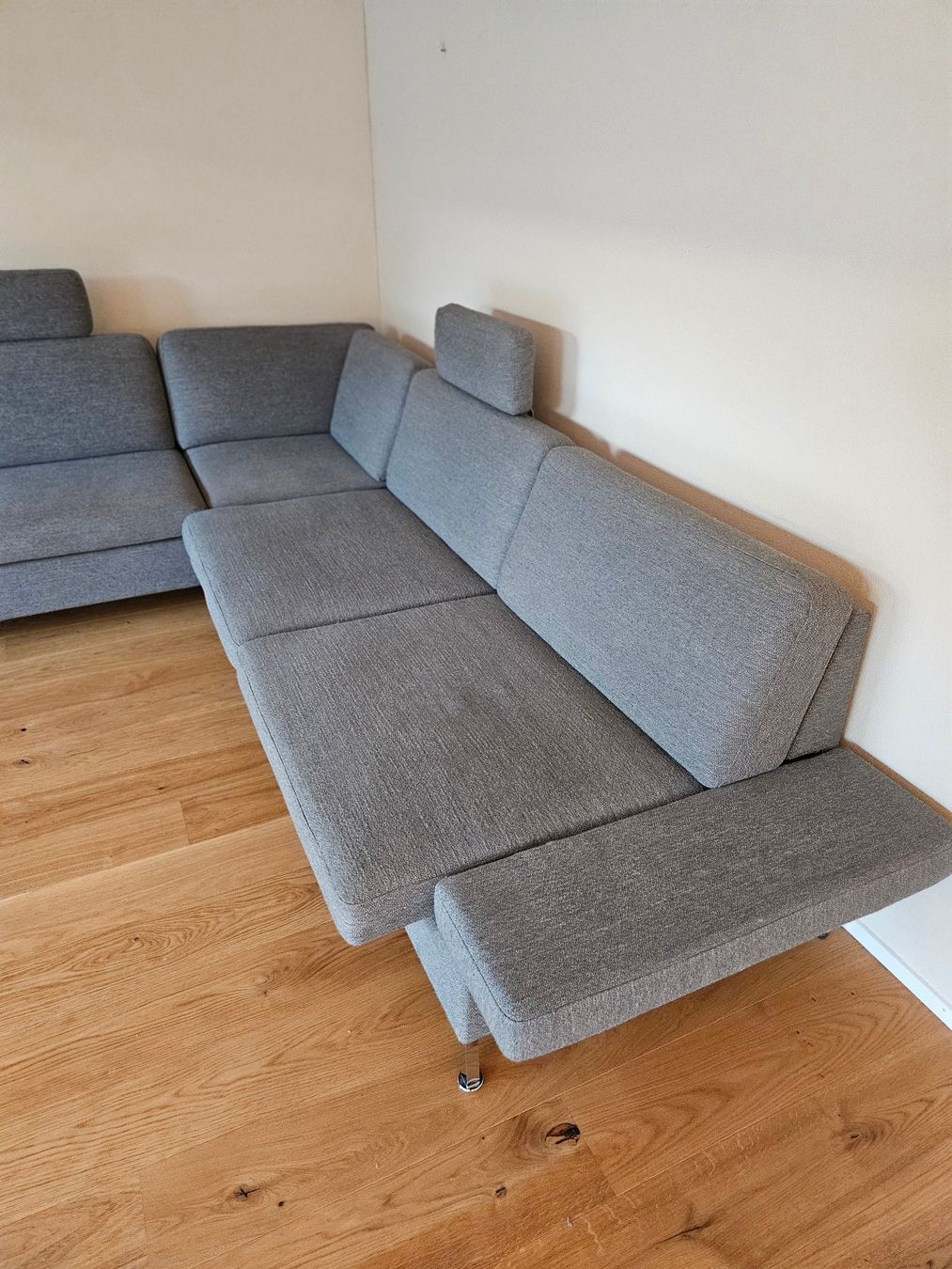 Brühl Sofas: Modernes Ecksofa «ALBA» von Brühl – Gebraucht aus Jona von  6