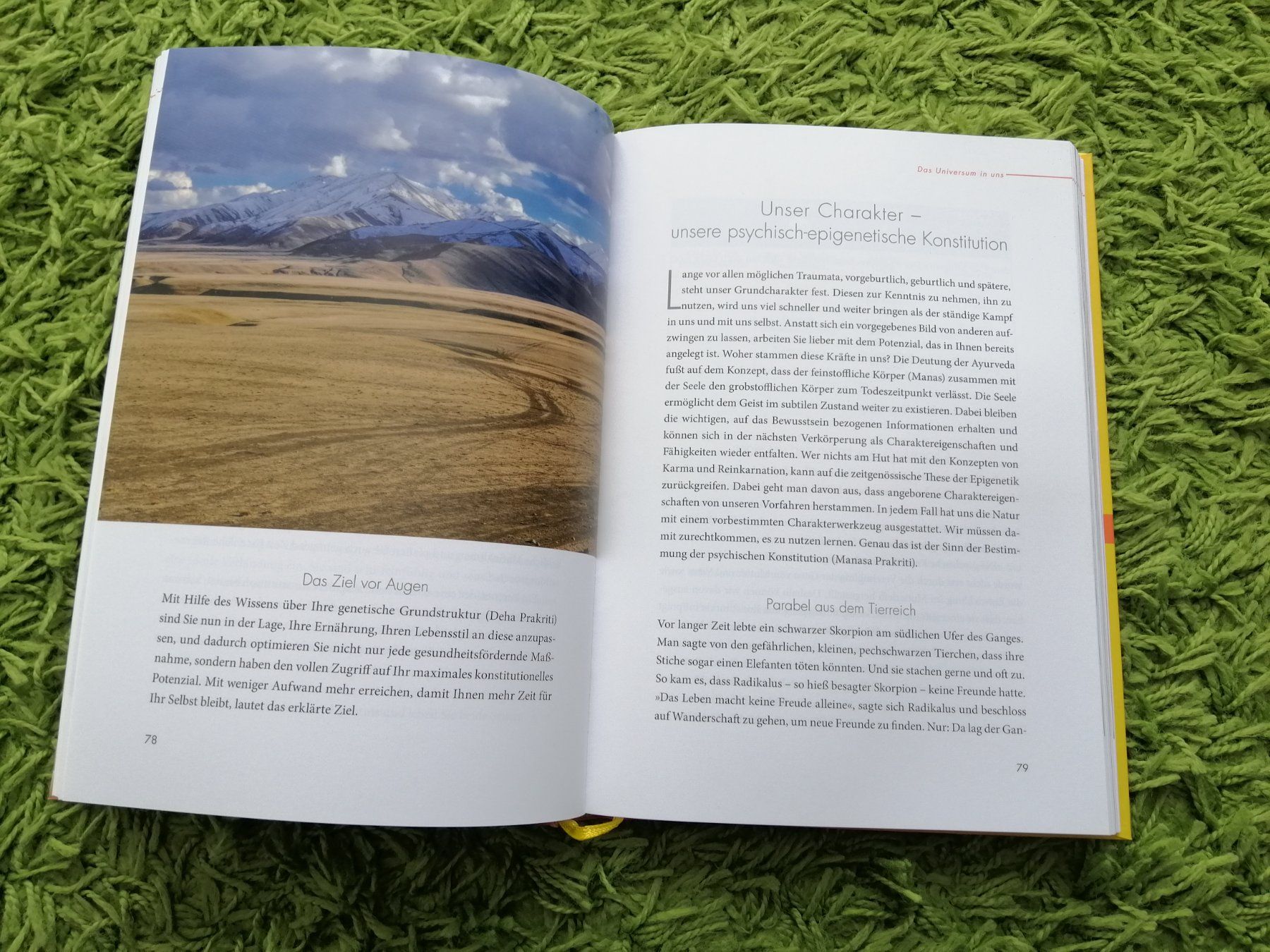 Bücher: Ratgeberbücher 3 mal – Neu (gemäss Beschreibung) aus Villmergen von MONCHHICHI 8
