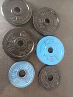 Gusseisen Hamtelscheiben Set-Insgesamt 12.5kg