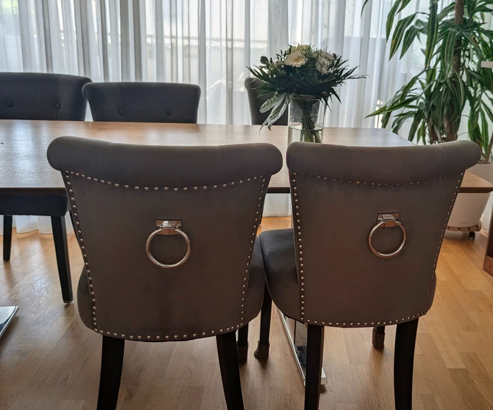 Stühle: 6 graue Samt Stühle mit silbernen Details – Gebraucht aus Wollerau von lor_k2ny