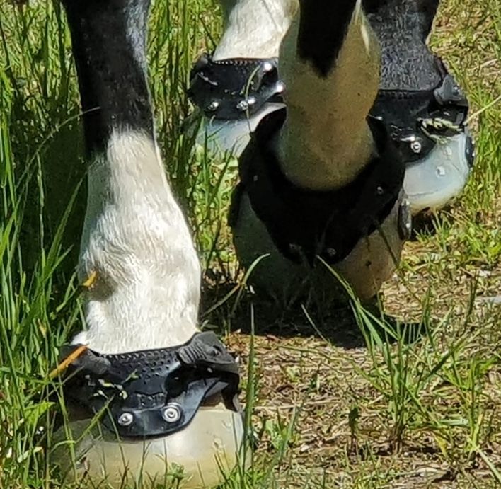 Bottes de soin: 2 Paar Floating Boots – D'occasion à Einsiedeln par eldor5 1