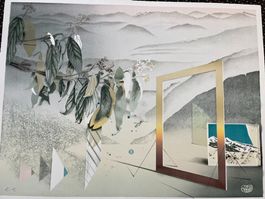 Jiri Mezricky  Lithographie signiert Künstlerprobe
