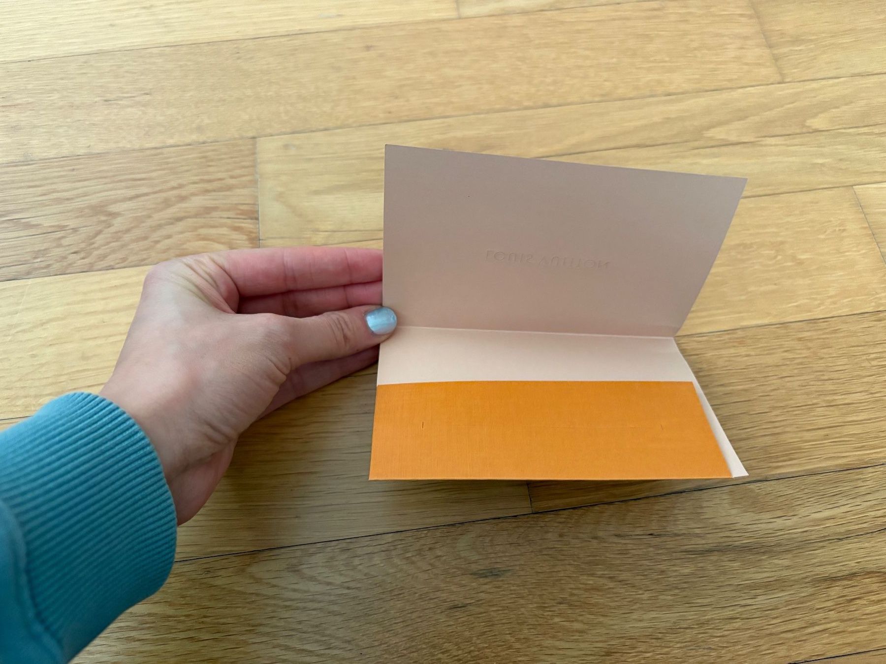 Louis Vuitton Borse: LOUIS VUITTON Envelope 9 x 13 cm – Nuovo (secondo la descrizione) da Muzzano venduto da Sidney_3 1