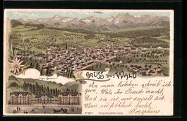 Litho Wald, Totalansicht, Lungen-Sanator