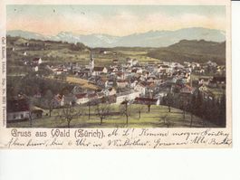 Wald 1903