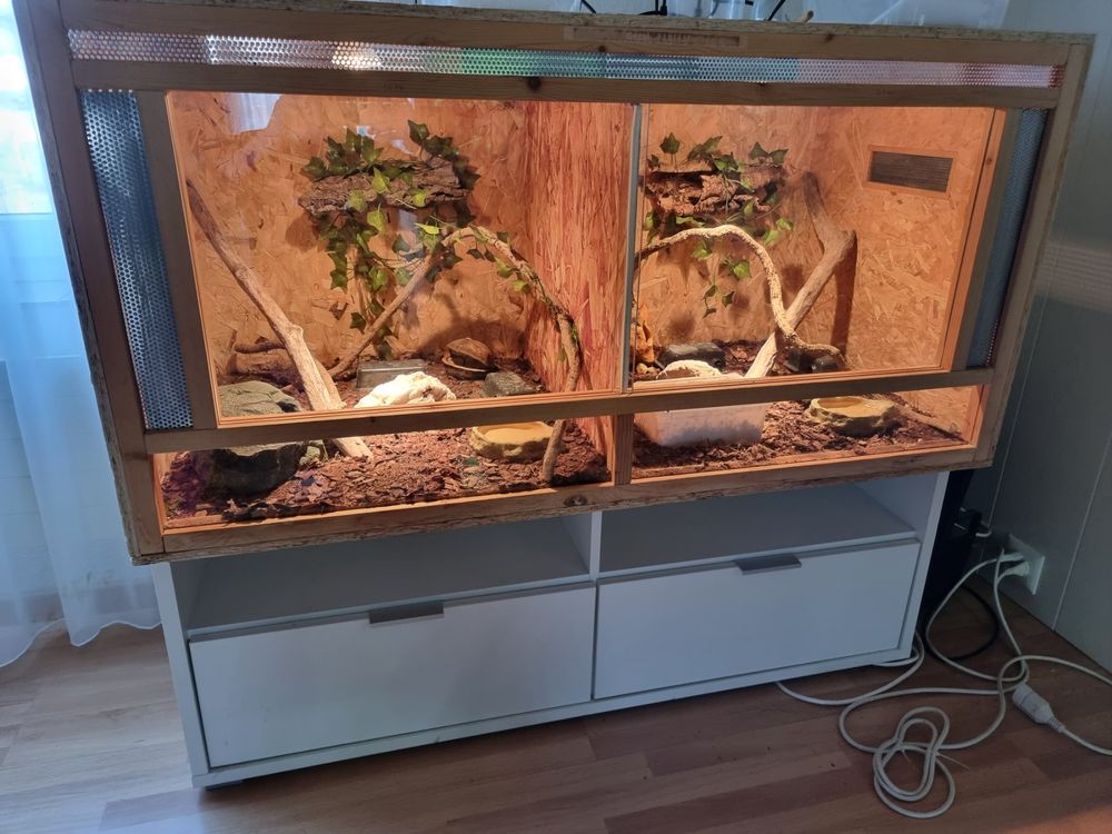 Terrarium 120x60x60cm inkl. Einrichtung Kaufen auf Ricardo