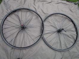 MTB 29" SPEZIALIZED Laufradsatz Disc V100mm H12x142mm