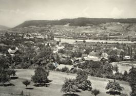 ESCHENZ Blick auf Stein am Rhein
