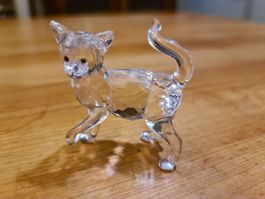 Swarovski Figur Katze