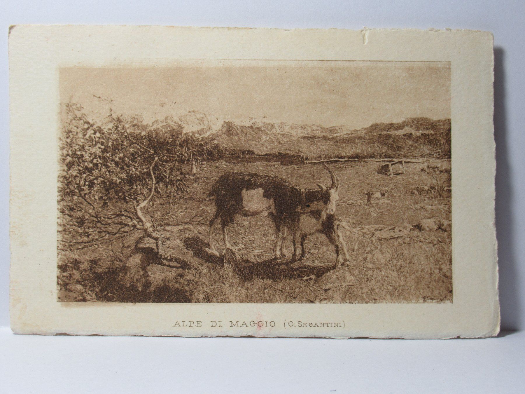 Cartoline postali: Alpe di Maggio , Ziegen 1935 – Usato da Grenchen venduto da Bluemchen1900