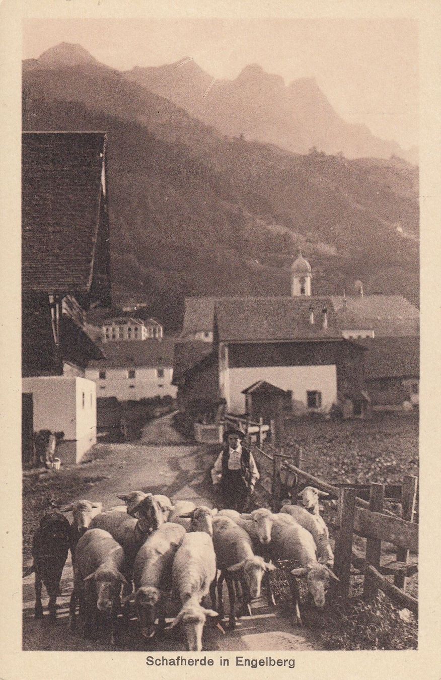 Ansichtskarten: Engelberg  OW  -   Schafhirt mit Schafherde – Gebraucht aus Brig von Valcards54