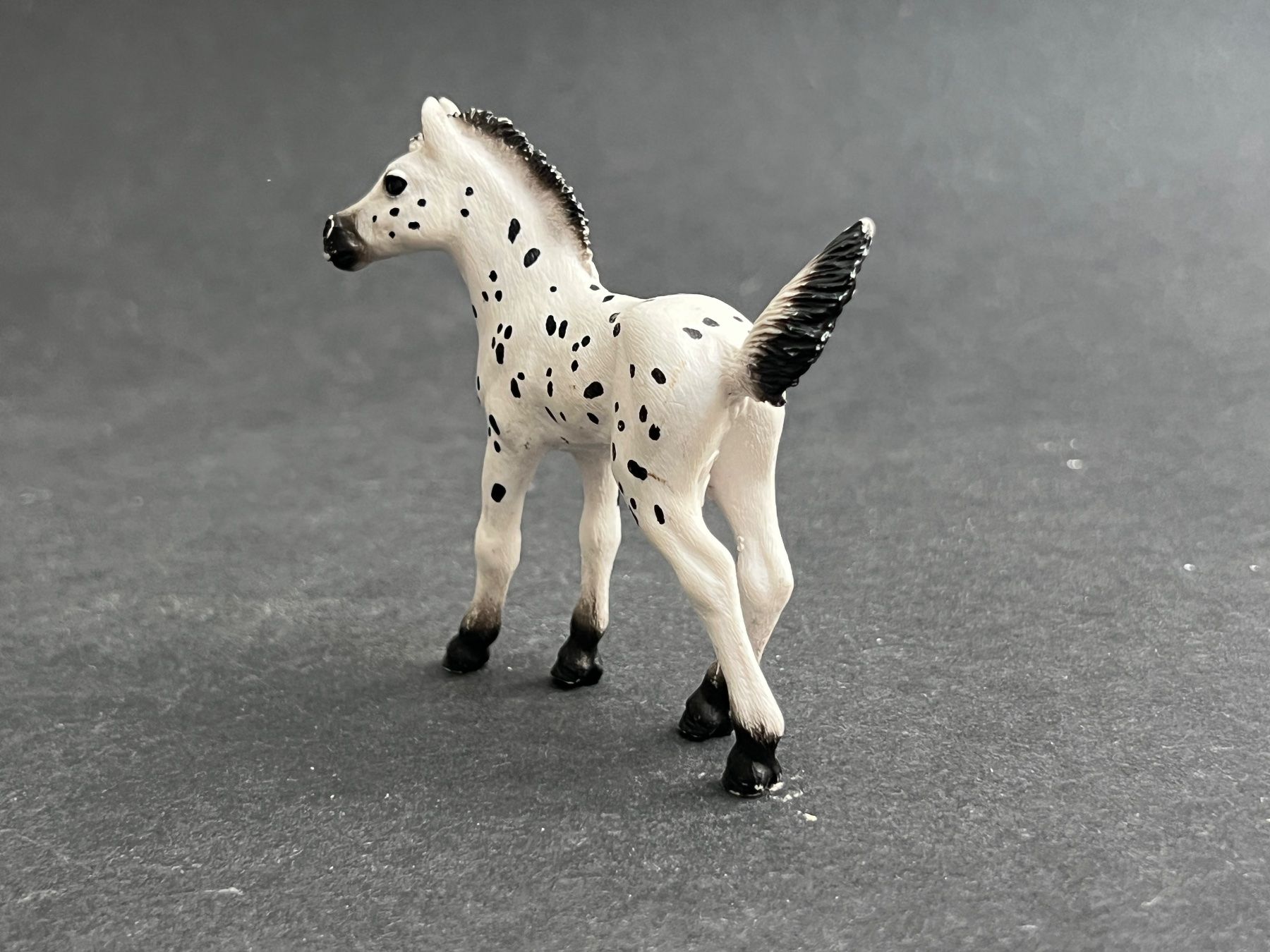 Schleich Statuette: Schleich Knabstrupper Fohlen Pferd – Usato da Ennetbaden venduto da mapa05 5