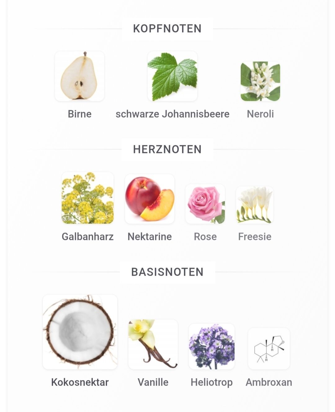 Clean Profumi & Eau de Toilette: CLEAN Summer Day – Usato da Winterthur venduto da Je. 3