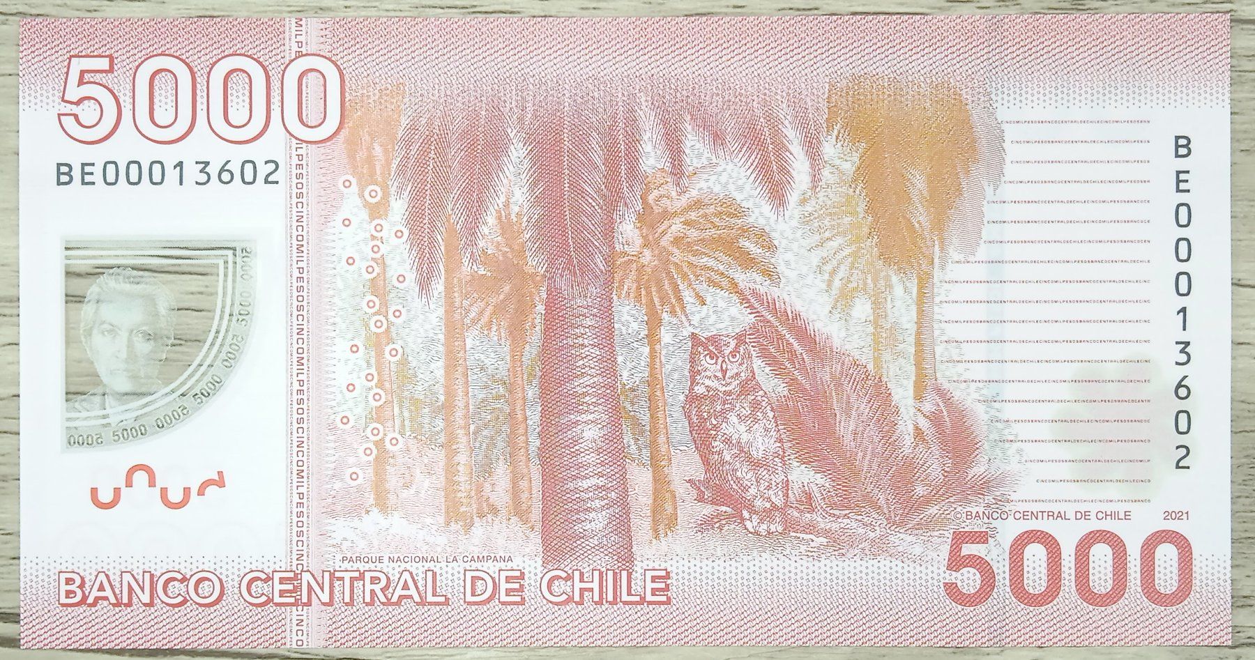 Banconote: Chili 5000 Pesos Polymer UNC – Nuovo (secondo la descrizione) da Cousset venduto da Patricio77 1