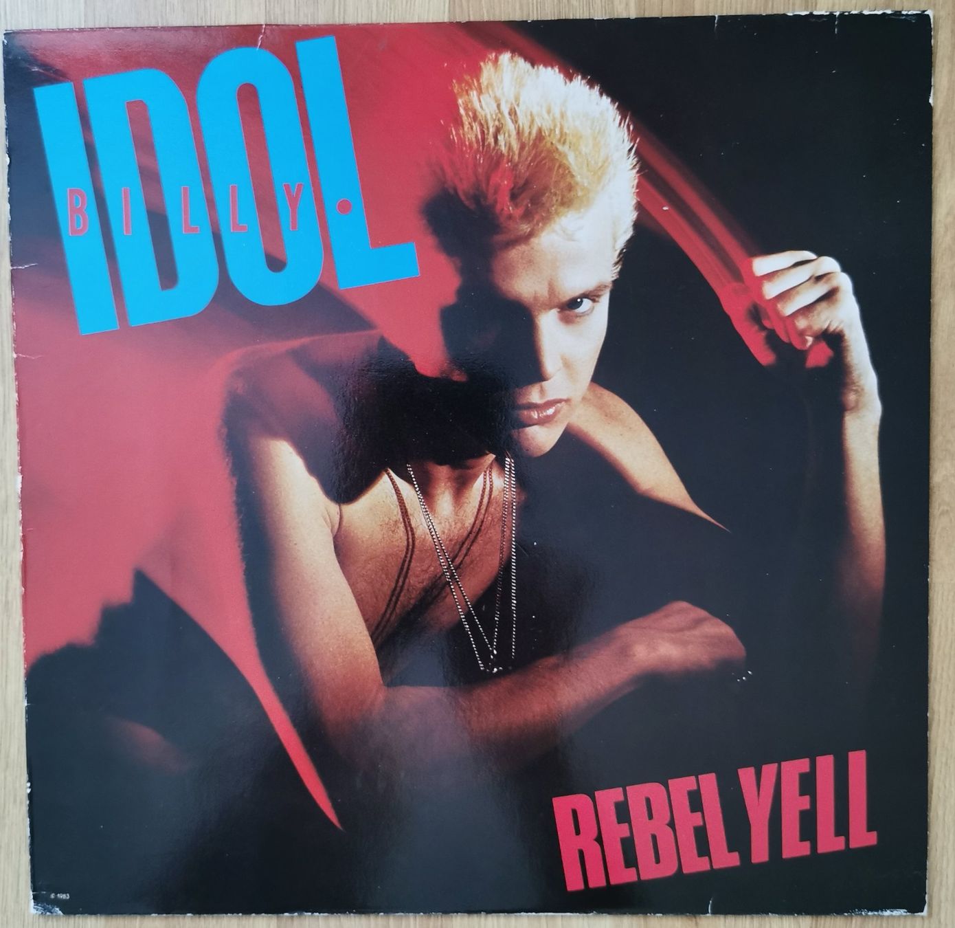 Dischi in vinile: Billy Idol -  "Rebel Yell" Vinyl LP 1983 – Usato da Birsfelden venduto da dsc_f8gx