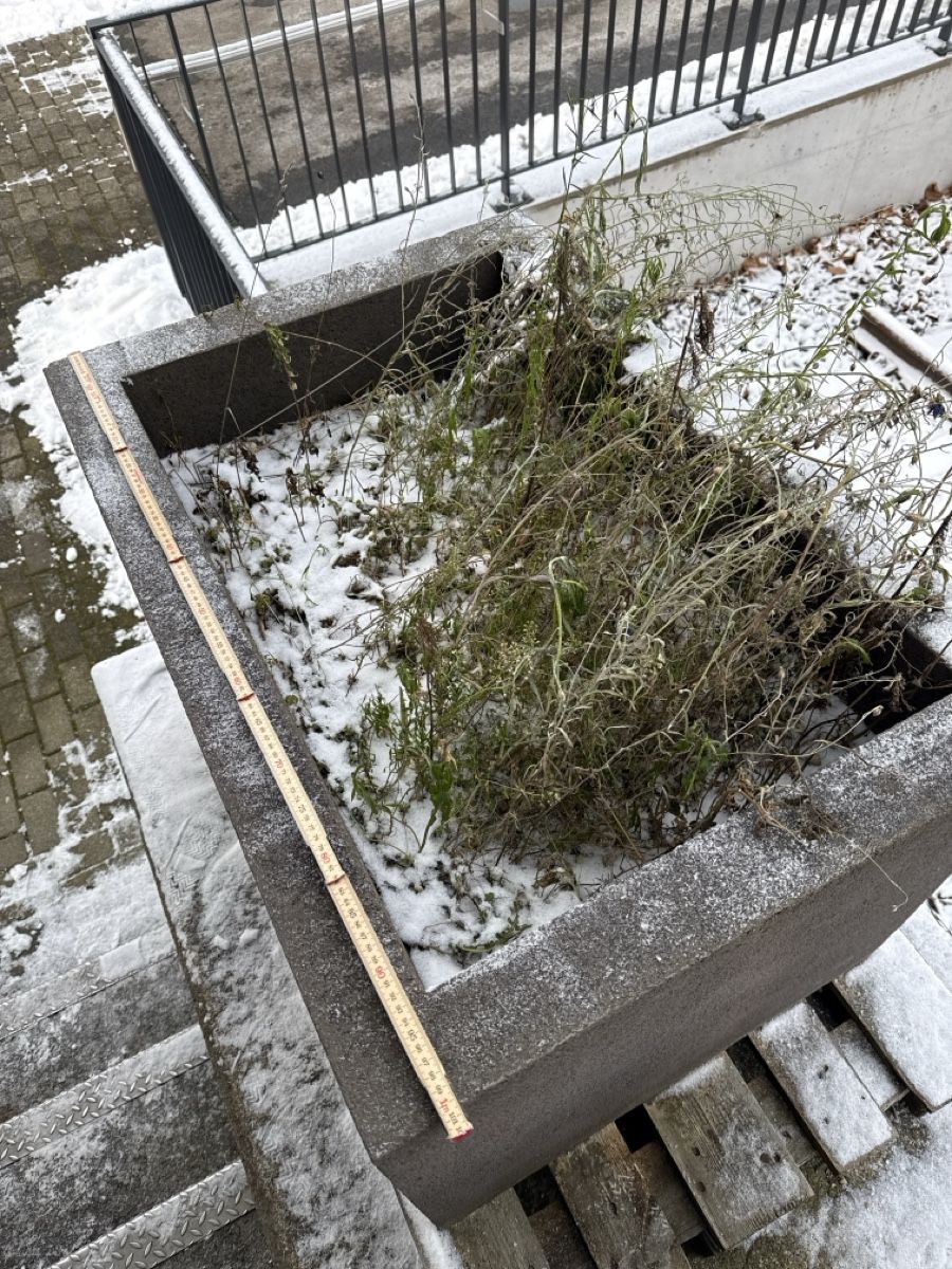 Vasi per fiori: Robuster Pflanzentrog aus Beton für Garten oder Terrasse – Usato da Ermatingen venduto da angels.east 2