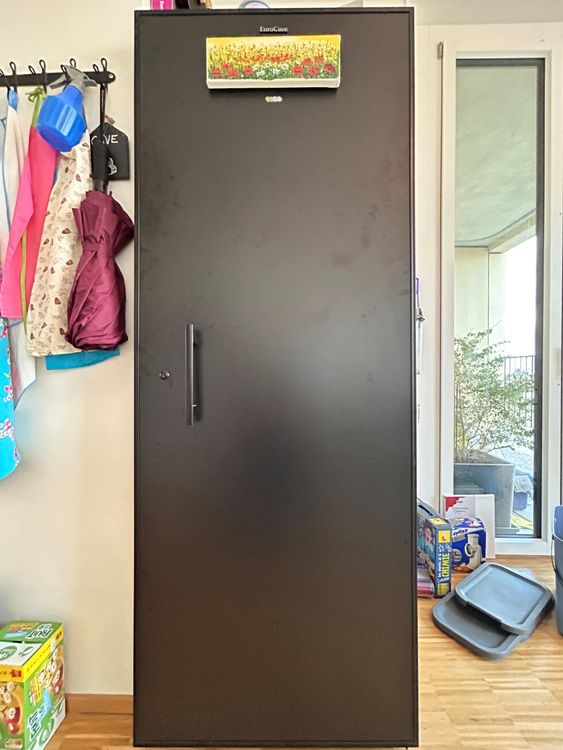 Cave à vin 204 bouteilles 1 température Eurocave V266 Kaufen auf Ricardo