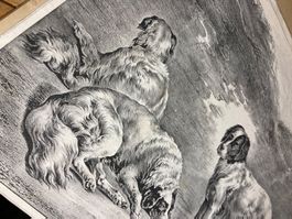 chiens hund lithos antik