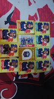 Panini WM 2026 Sticker Set Frankreich