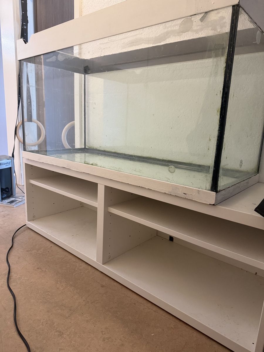 Aquarium: Aquarium – Gebraucht aus Horgen von yvesseinet 3