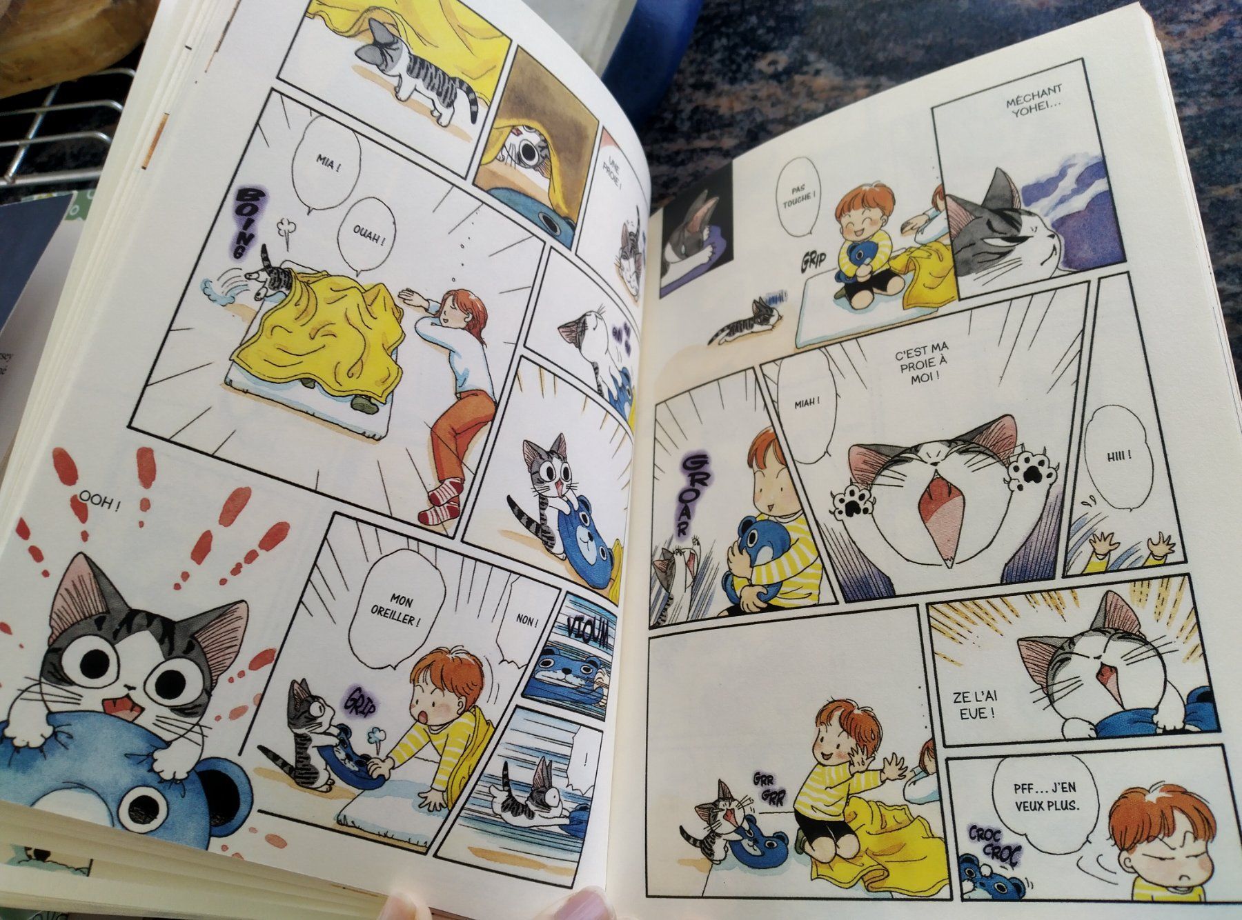 Libri: Chi - Une vie de chat Tome 01 MANGA – Usato da Cortaillod venduto da rozinna 3