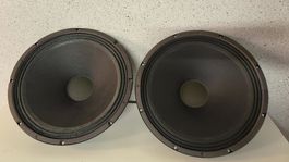 Subwoofer (2 Lautsprecher 151802A 15 Zoll schwarz gebraucht