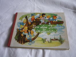 CH Kinderbuch - Von den Zwergen im Haslital
