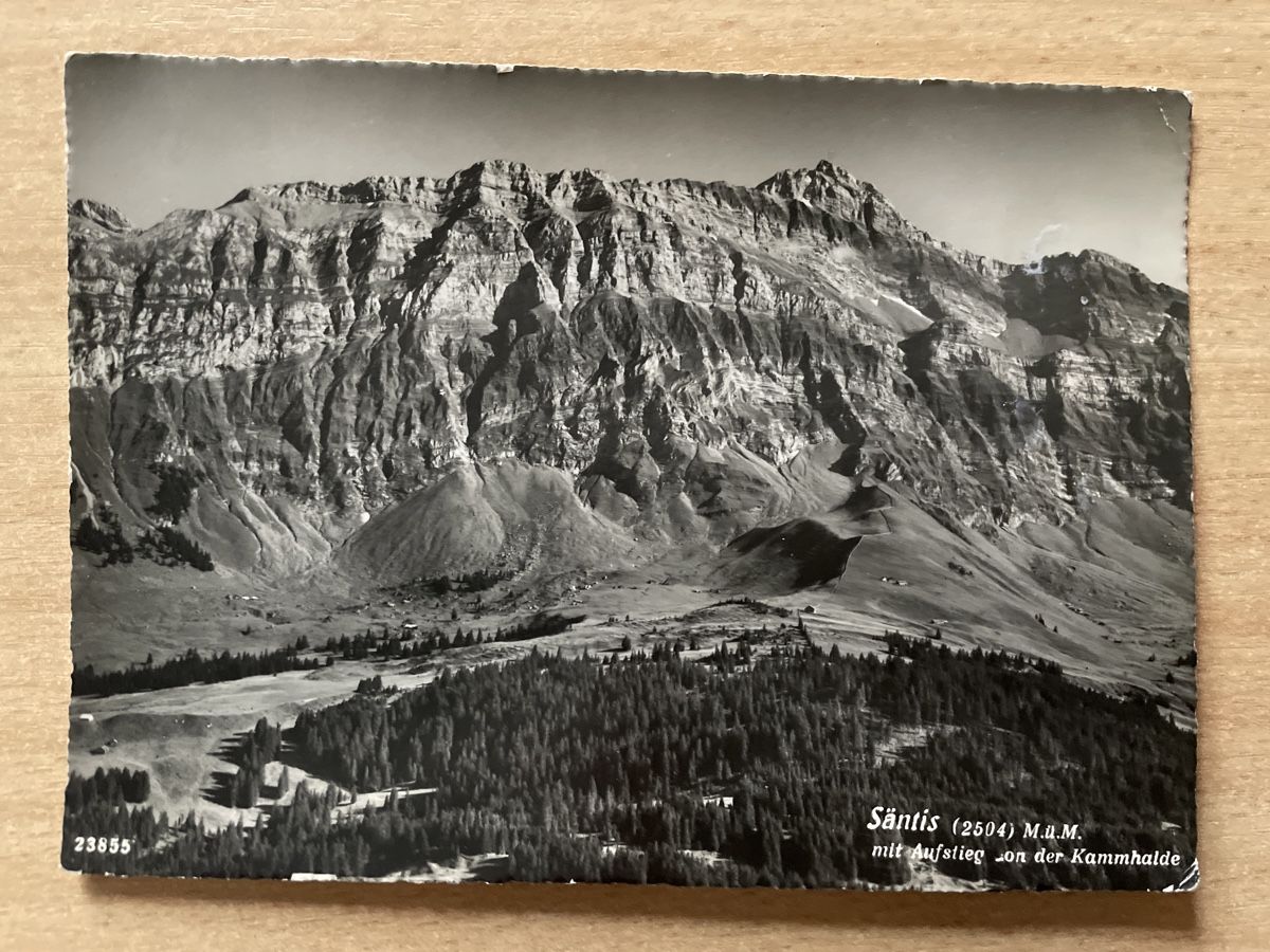 Cartoline postali: Alte Ansichtskarte Säntis von der Kammhalde 1952 – Usato da Neuhausen am Rheinfall venduto da Arielle55