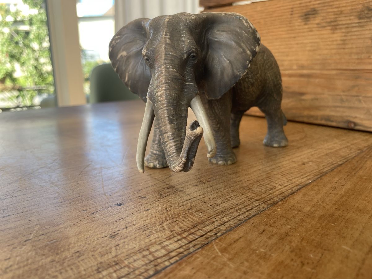 Schleich Jouets: Schleich Elefant – D'occasion à Bonstetten par soleillle