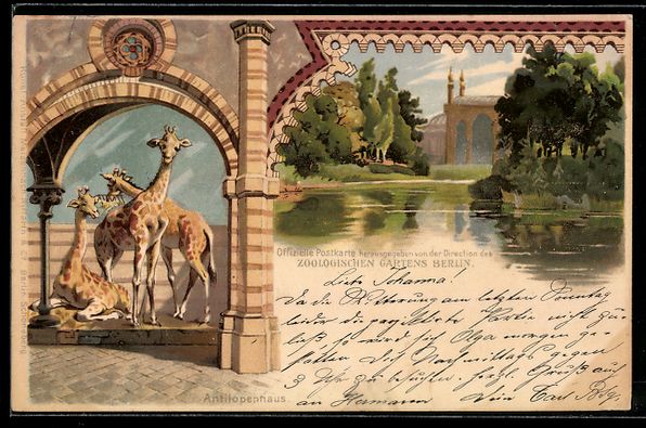 Cartoline postali: Litho Berlin, Zoologischer Garten, Antil – Usato da Berlin venduto da bartko-reher