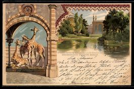 Litho Berlin, Zoologischer Garten, Antil