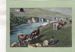 Kitsch Landschaft Kühe Auf der Herbstweide