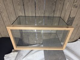 Terrarium