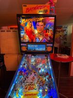 Flipper Baywatch Sega 1995