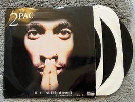 Lot LPs 2PAC, Vinyl Schallplatten