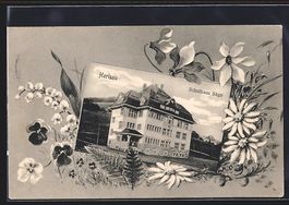 Herisau, Das Schulhaus Säge im floralen