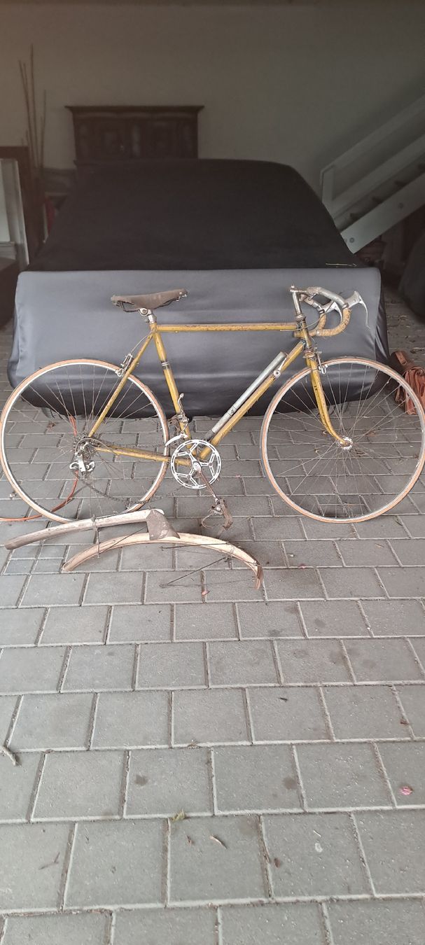 Biciclette: Rennvelo – Difettoso da Gelterfingen venduto da morice06
