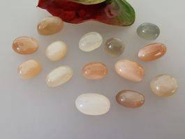 14 Stk. echte, unbehandelte, Mondstein Cabochons