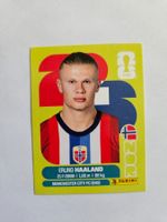 Erling Haaland Sticker-Karte 2026 WM-Edition