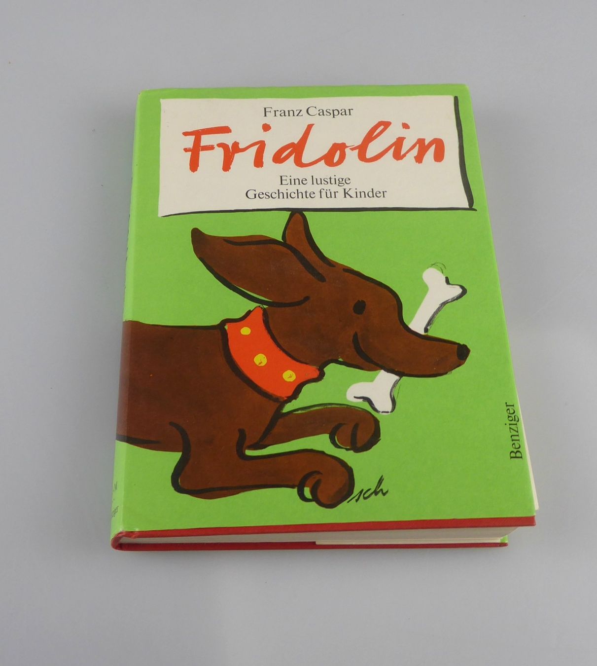 Libri: Fridolin, Eine lustige Geschichte für Kinder – Usato da Volketswil venduto da brockipfannenstil