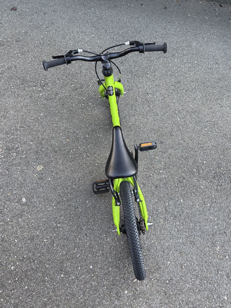 Naloo Biciclette: Naloo Chameleon 16 Kindervelo – Usato da Brunnen venduto da beat52 2