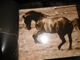 Fotobuch Buch Pferde v. Leo Gesess Limitierte Auflage 999Ex.