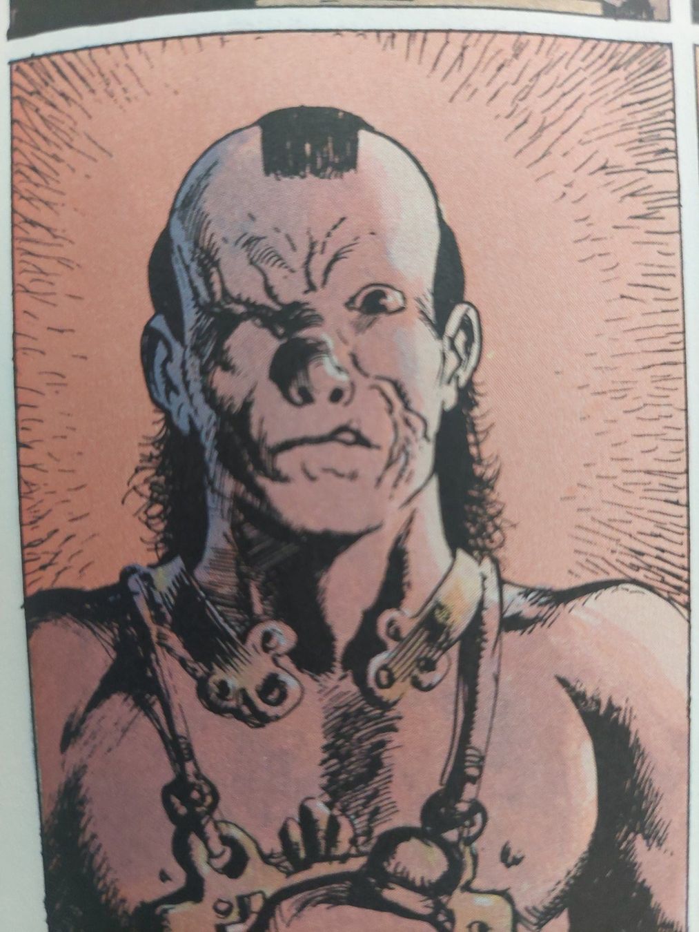 Fumetti: Thorgal T.12 La Cité du Dieu Perdu EO 1987 TBE – Usato da Genève venduto da Blu_BD 4