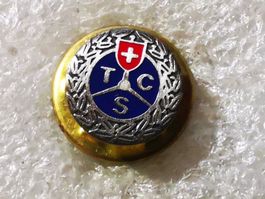 Ansteckpin 53: TCS