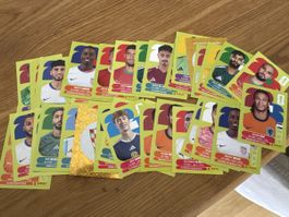 WM26 Panini, 40 Stk 
